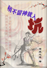 �Բ���������С˵