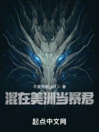 �������޵�����С˵