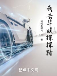 ��ȥ����̽̽·С˵