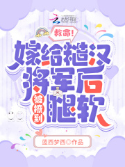 �������޸��ں��������õ�����С˵