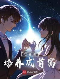 �������������׸�С˵