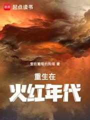 �����ڻ�����С˵